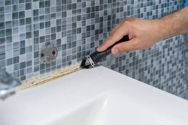 Mold Removal and Inspection in Maurice, LA